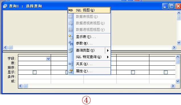access内部使用sql 语句